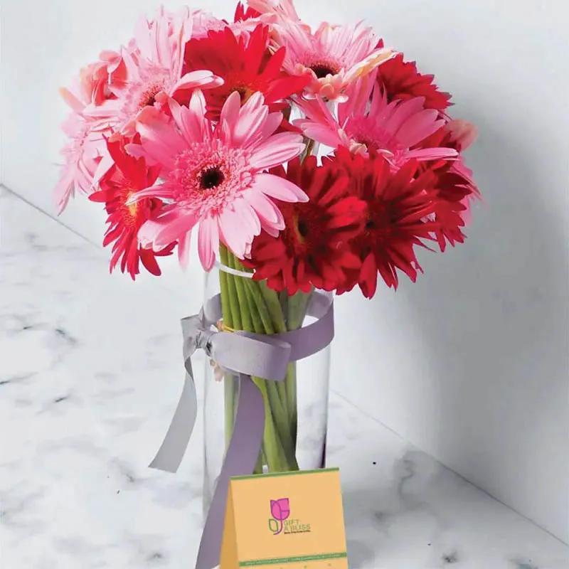 Captivating Gerberas