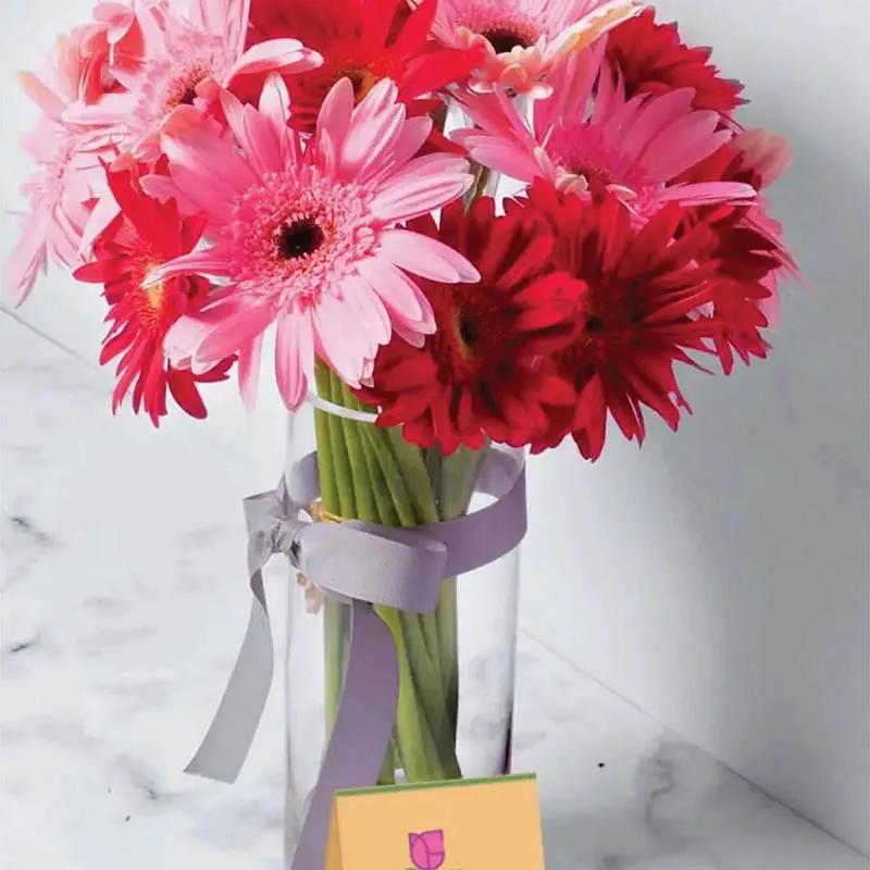 Captivating Gerberas