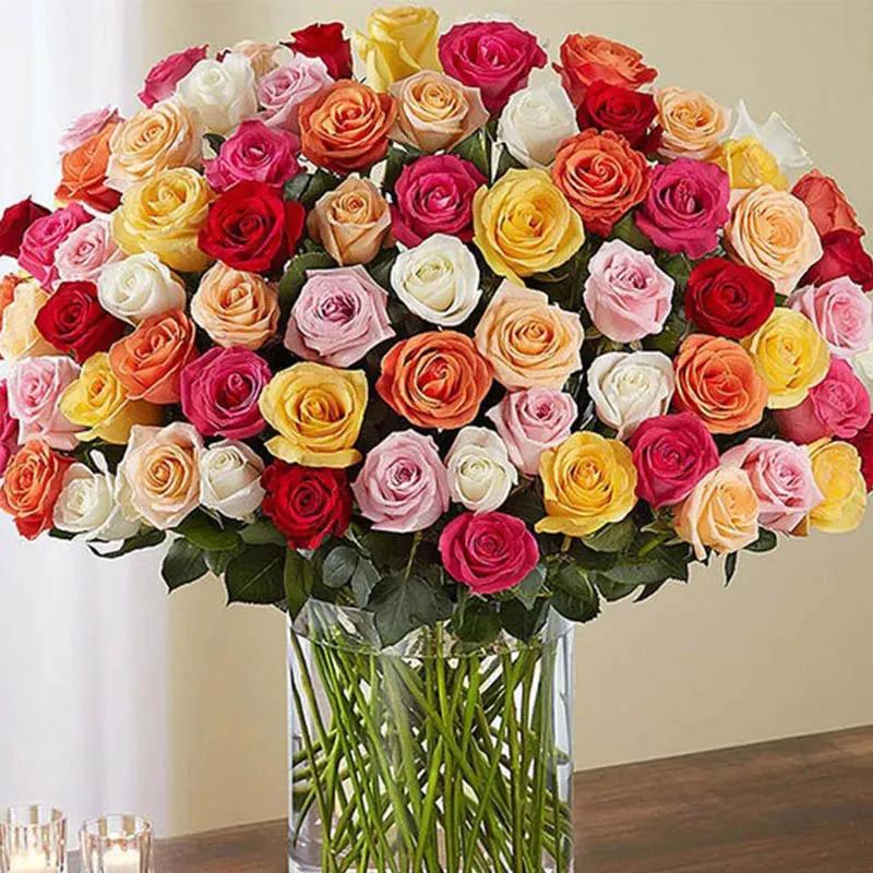 Elegant 100 Mix Color Roses in Vase