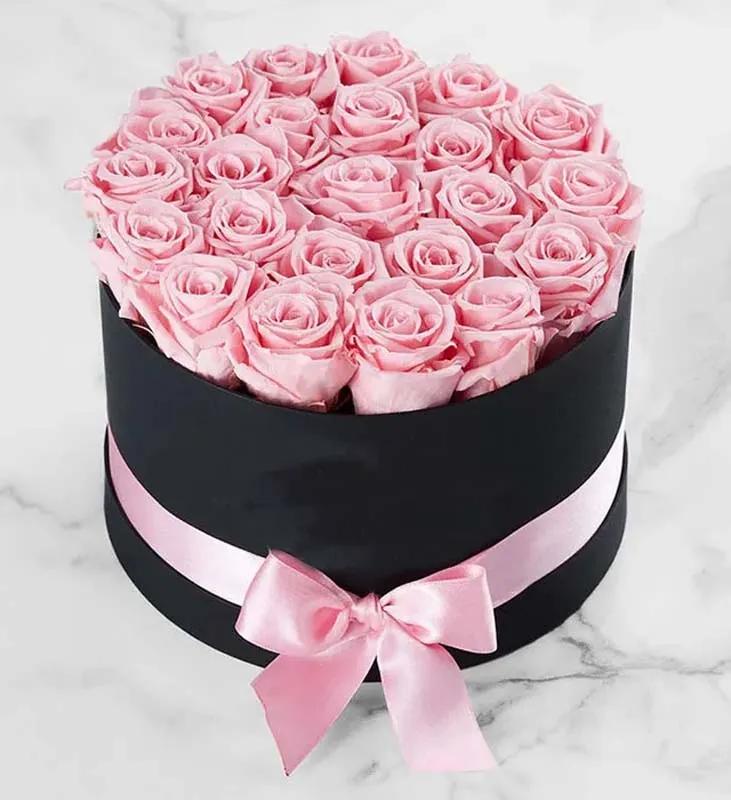 Pink Roses in Black Round Box