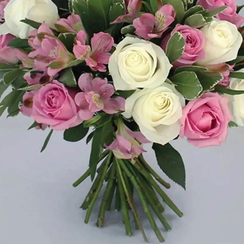 Tuning of White and Pink Roses